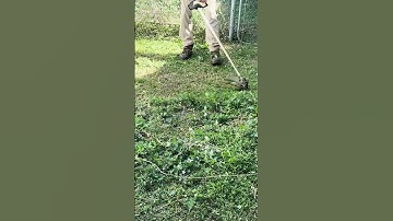 Weed Wacker Skills ~ WOW ~ Time Lapse Lawncare