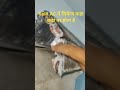 Split AC में लिकेज कहा कहां पर होते हैं Split AC leek problem #airconditioner #accircuits #electri