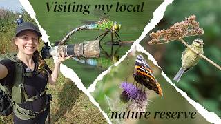 Wildlife Photography at My Local Nature Reserve