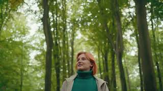 Nationalpark Wälder Von Brabant - Flandern, Belgien