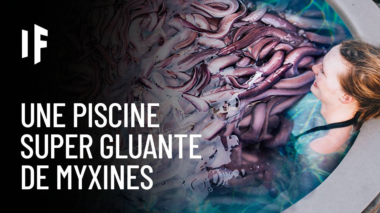 Que se passerait-il si vous tombiez dans une piscine de myxines ?
