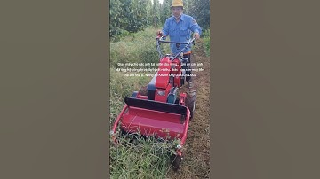 Máy cắt cỏ trục băm sử dụng động cơ dầu diezel 10hp mạnh mẽ và tiết kiệm