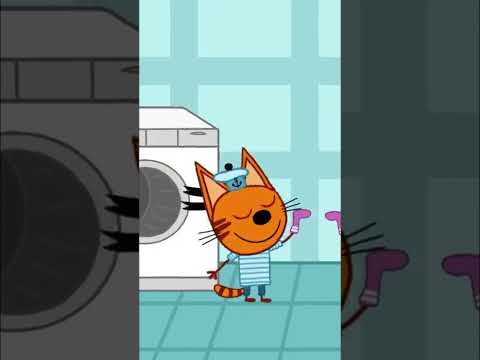 Вечная загадка - поиск пропавшего носка 🧦 #ТриКота #ТриКотаМем #мультсериал #мем