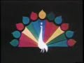 NBC Daytime Emmys Peacock 1974