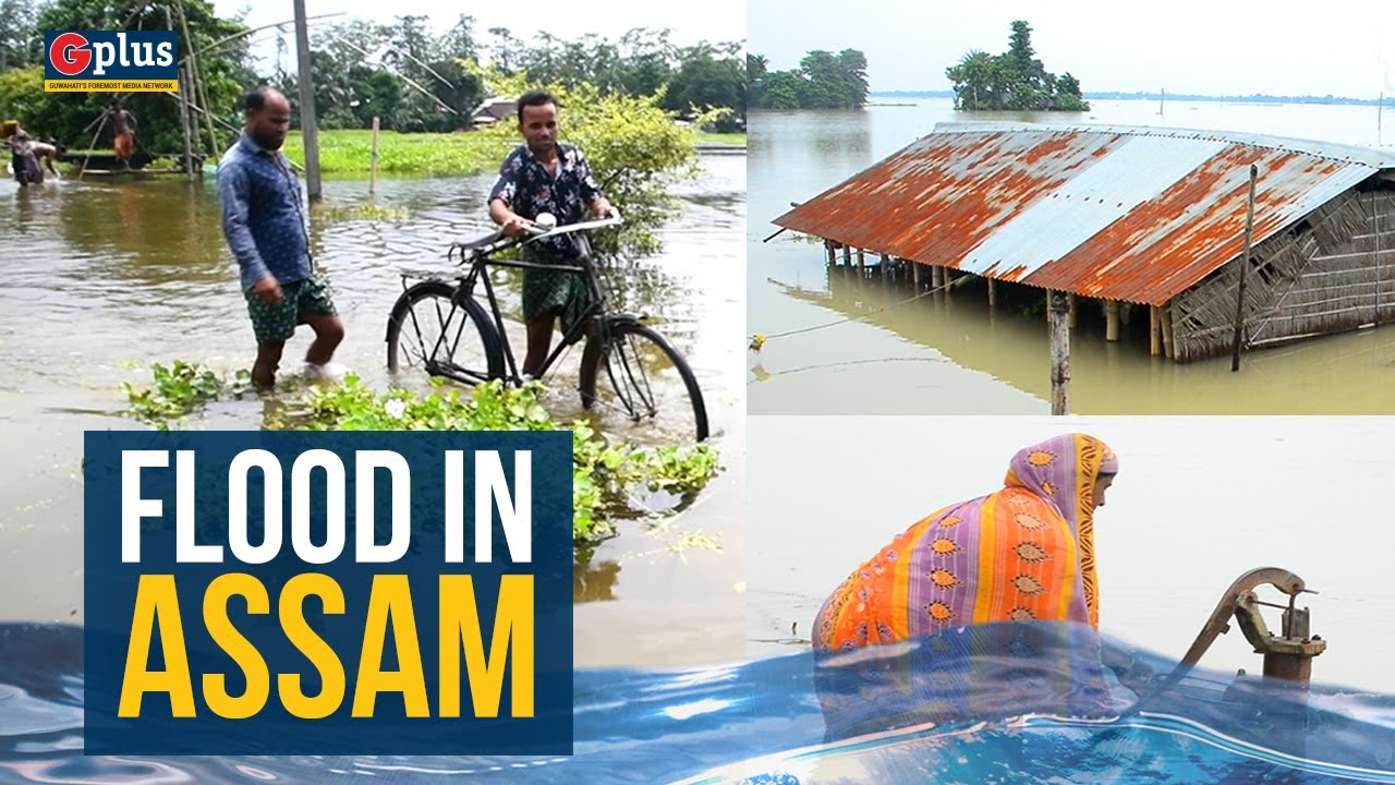 Flood in Assam | Guwahati Plus Video Report