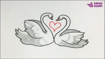 How to draw two swans making a heart