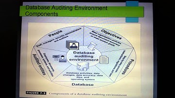 Database security auditing models