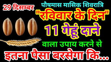 29 दिसंबर पौषमास रविवार मासिक शिवरात्रि को 11 गेहूं के दाने वाला उपाय जरूर करे /// Pradeep Ji Mishra