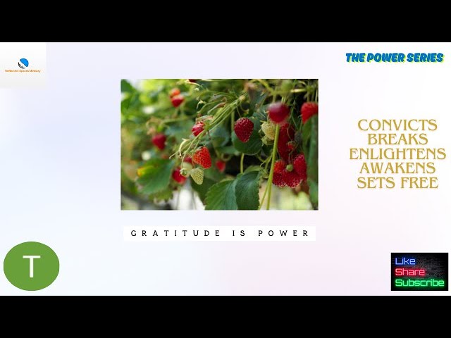 The Power Series: Gratitude is Power