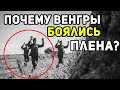 ПОЧЕМУ ВЕНГРАМ БЫЛО СТРАШНО СДАВАТЬСЯ В ПЛЕН?