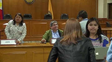 Lente to replace Namfrel as Comelec