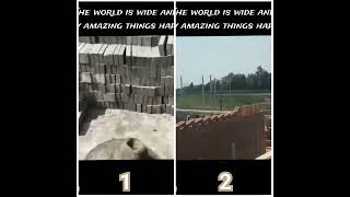 Which one is more amazing video?