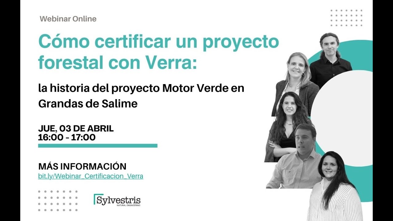 Cómo certificar un proyecto forestal con Verra: la historia del proyecto Motor Verde en Asturias