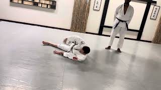 Break fall practice (ukemi) #aikido #martialarts #aikijitsu #martialwaydojo