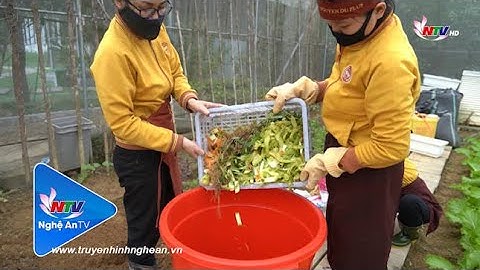 “From Trash to Future” – Giải pháp cho rác thải hữu cơ hộ gia đình