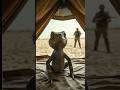 মরুভূমির সান্ডা vs কফিল,,,#cute #animation #animals #funny #funny #quotes