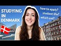 Studying in Denmark // Student Life, Professors, Tuition Fees, Preparing for Classes and more...