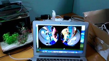 HDMI output of RICOH THETA S connect with  USB3.0 UVC HDMI capture card as a webcam