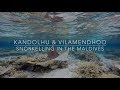 Snorkelling in the Maldives - Kandolhu & Vilamendhoo - 2016