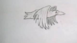 flying frame animation bird