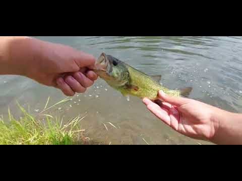 2024 Fishing 9-45 Bass Fishing