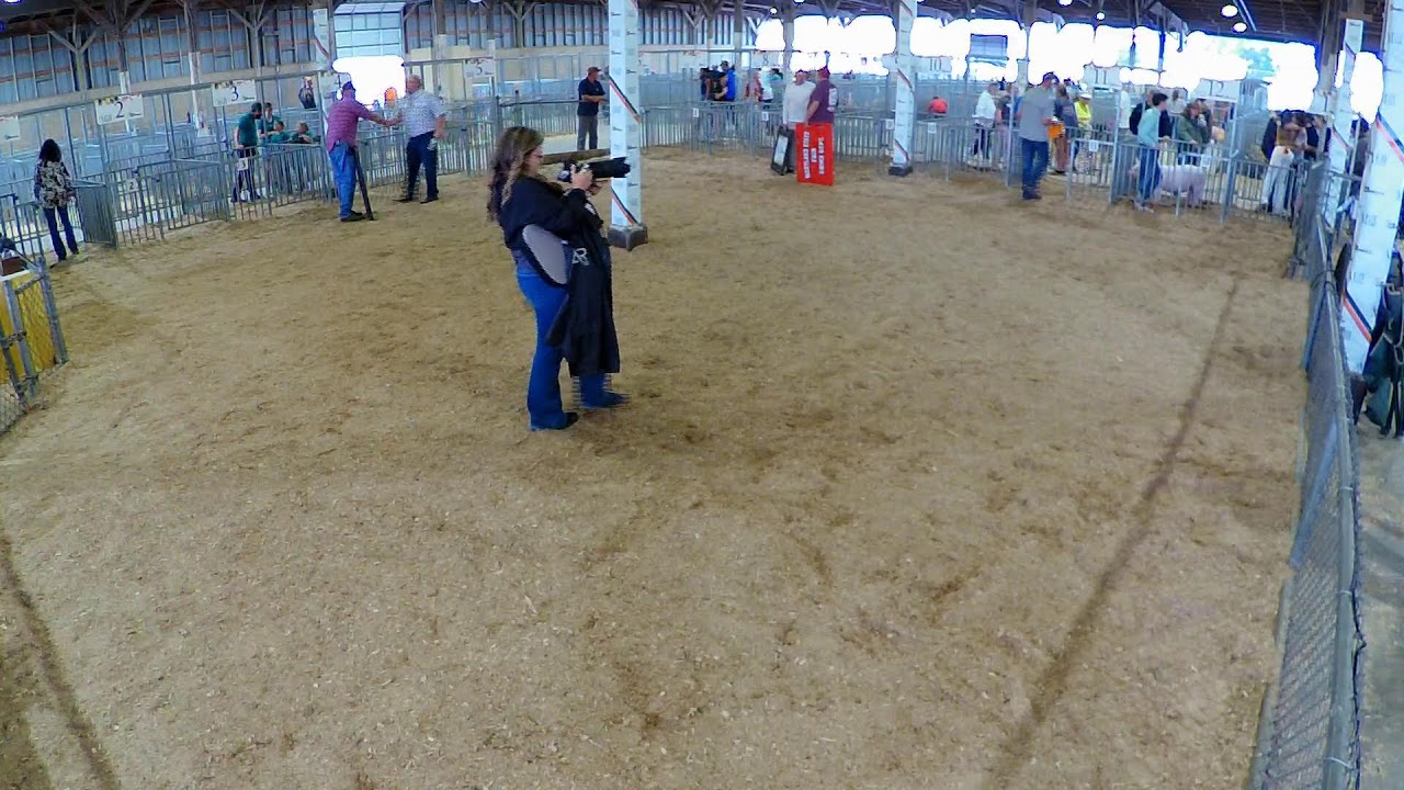 Supreme Champion Hog Drive