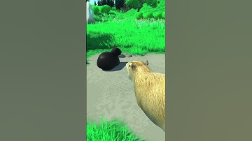 Dancing cat and capybara