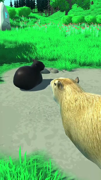 Clara The Capybara X Rio 2｜TikTok Search