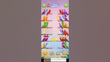 #bird #sort #level 726