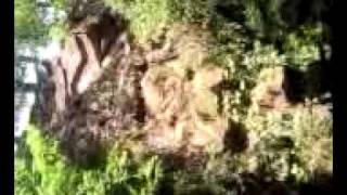 Video0037.3gp