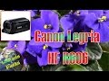 Тест видеокамеры Canon Legria HF R606 - LtdenisFacts