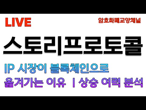 스토리프로토콜｜IP 시장이 블록체인으로 옮겨가는 이유｜상승 여력 분석