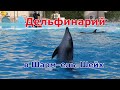 Дельфинарий - Развлечения для Детей в Шарм-ель-Шейх