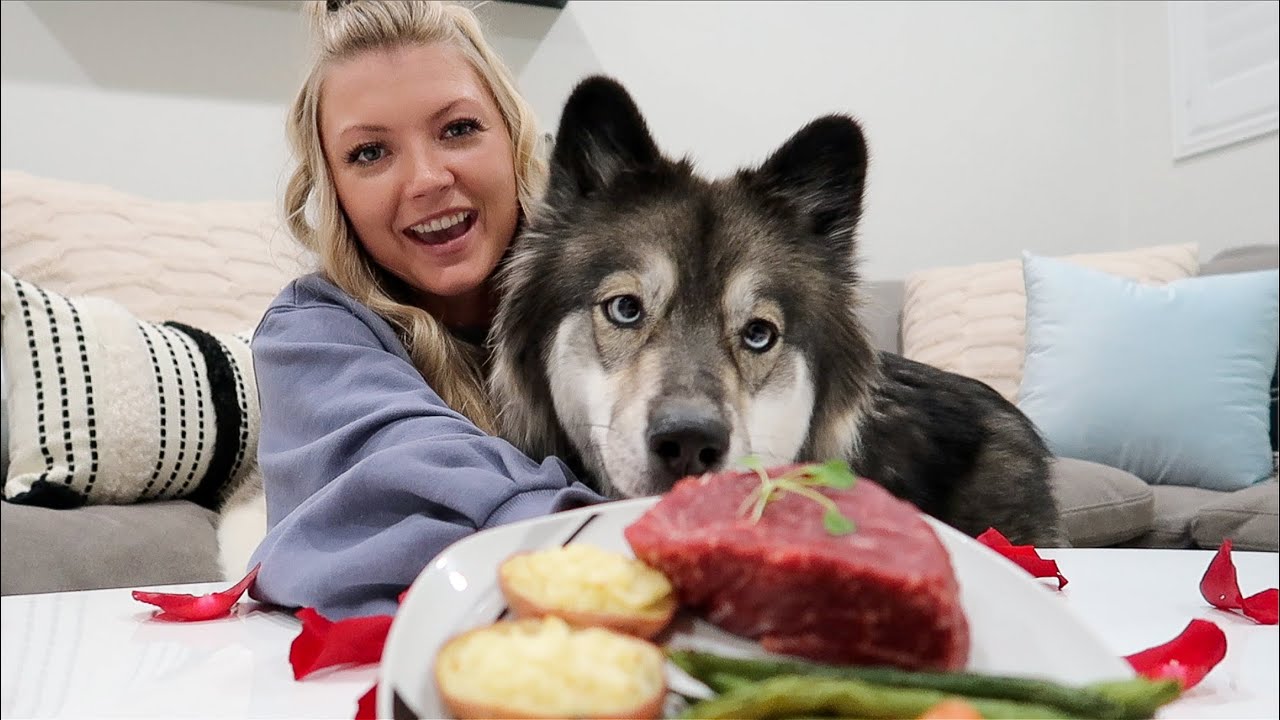 We Surprised Our Huskies With A 5 Star Meal On Valentine's Day!