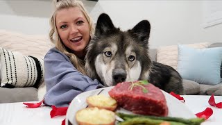 We Surprised Our Huskies With A 5 Star Meal On Valentine's Day!