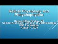 Retinal Physiology and Psychophysics