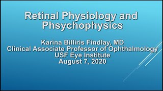 Retinal Physiology and Psychophysics