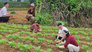 Nhat forgave Mui, and together they planted the season's first rows of vegetables