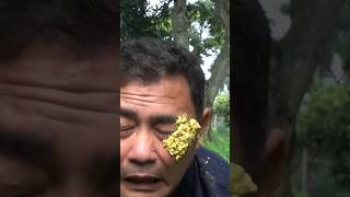 Di Antem Taii Ambk Bojo Raiku