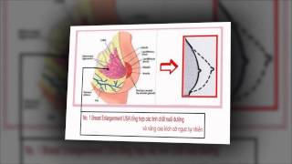 Thuốc Nở Ngực No 1 Giúp Ngực To & Săn Chắc