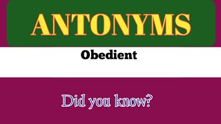 Antonyms Words Obedient.