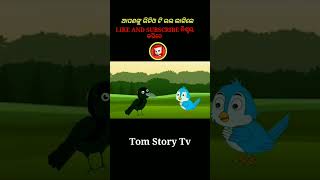 Kalu Chora|| odia gapa || tiki chadhei gapa || odia cartoon || odia moral story