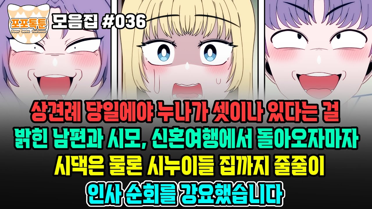 포포톡툰 모음집 