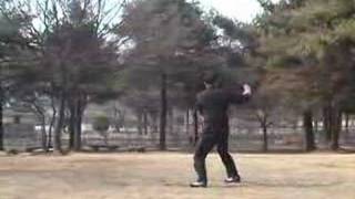 Chen Taichi Cannon Fist Oh, Chang Gi - Kyung Heon Dang