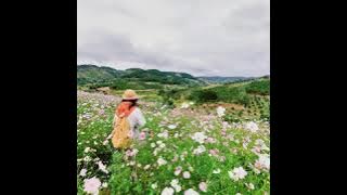 Dalat _  Vùng ngoại ô_  #lovesong #instrumental  #song   #dalat #vietnam #song #she's the moon