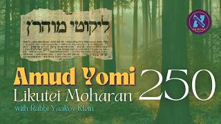 Likutei Moharan #250 - Torah Nun Zayin (4)