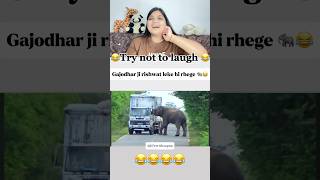 Vidhyak ji ka personal saman 🐘#funnyvideo #funny #comedy #reaction #funnyshorts#elephant #wildlife
