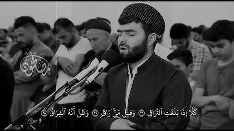 حالات واتس اب قران الكريم../كلا إذا بلغت التراقي/..القارئ بيشةوا قادر الكردي♥♥