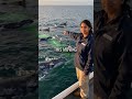 This Invisible Ocean Line Changes Water Color Instantly
