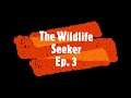 The wildlife seeker ep  3